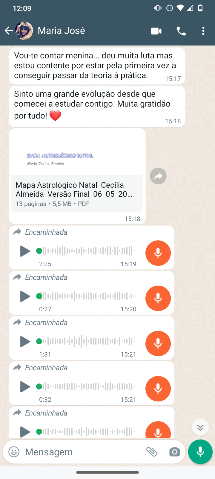 conseguir passar da teoria a pratica